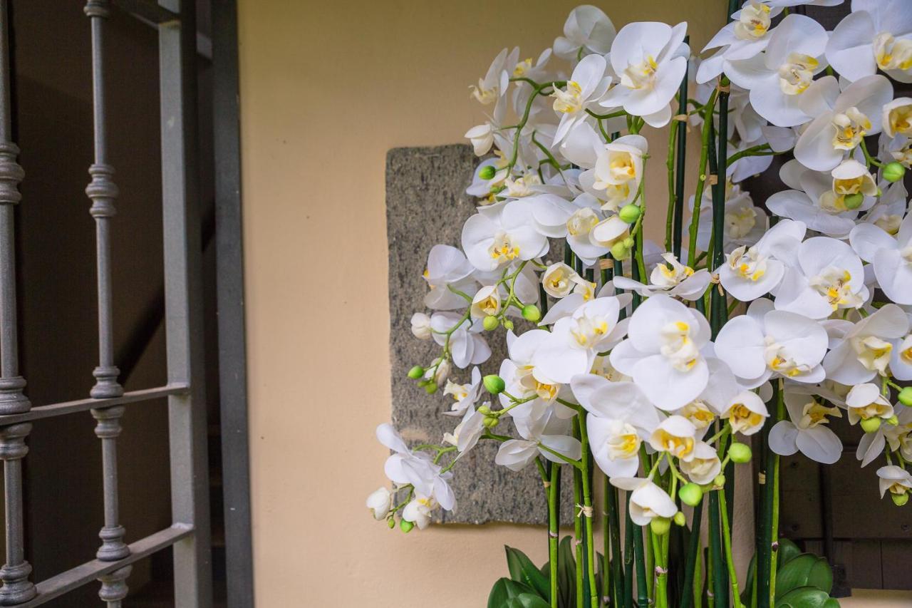 Il Basín Bed & Breakfast Calliano (Piedmont)